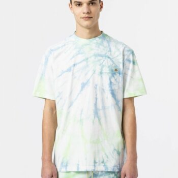 Tee Shirt Dickies Seatac Celadon Green