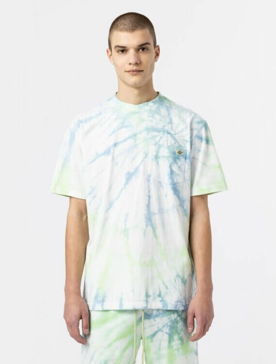 Tee Shirt Dickies Seatac Celadon Green