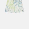 Short Dickies Seatac Celadon Green – Image 5