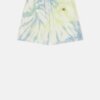 Short Dickies Seatac Celadon Green – Image 6