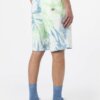 Short Dickies Seatac Celadon Green – Image 2