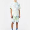 Short Dickies Seatac Celadon Green – Image 3